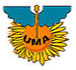 Ubah Academy Logo